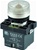 RCP2-BVL77-110...LED TYPE PILOT LAMP - 110AC, PLASTIC (INTEGRAL CKT & CLUSTER TYPE), CLEAR COLOR